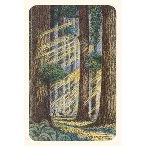 Vintage Journal Sunbeams and Redwoods -- Found Image Press